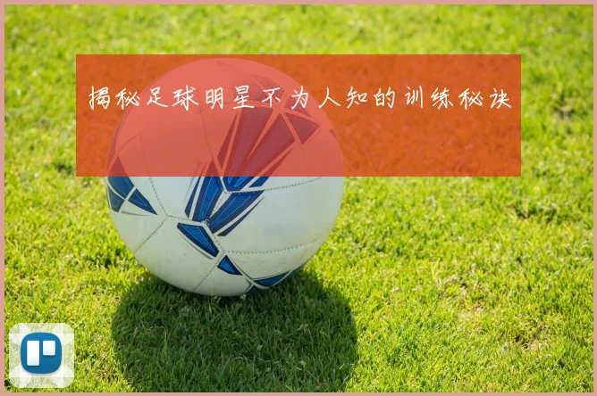 揭秘足球明星不为人知的训练秘诀